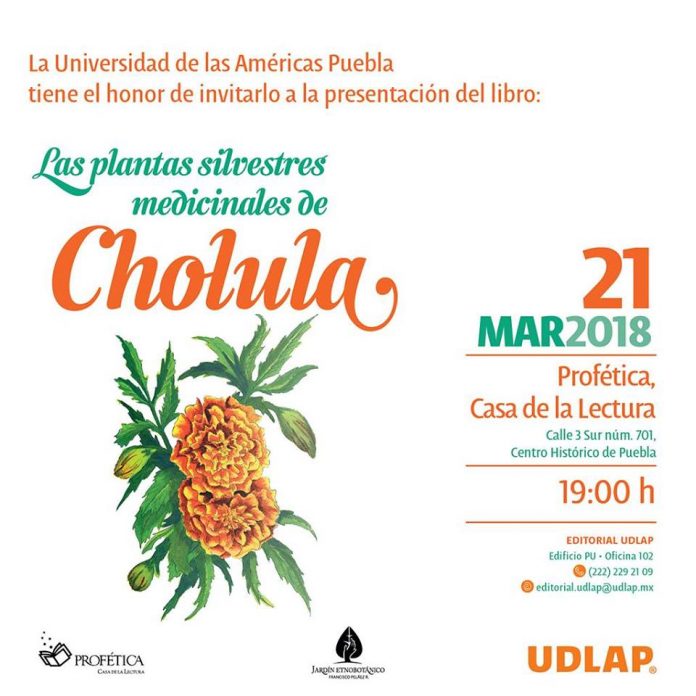 Las plantas medicinales de Cholula