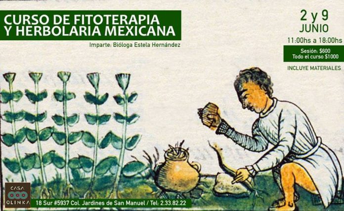 Fitoterapia y Herbolaria Mexicana