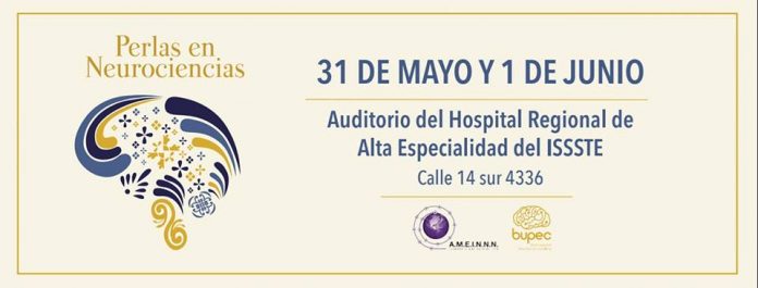 Perlas en Neurociencia