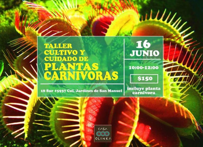 Cultivo y Cuidado de plantas Carnívoras